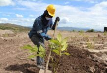 Clúster Minero de Chihuahua, responsable con el medio ambiente