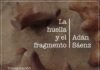 Invita Museo Casa Redonda a celebrar su 23° aniversario con exposición del artista chihuahuense Adán Sáenz