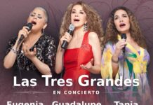 Las tres grandes van a hacer de las suyas en el escenario este próximo 24 de Noviembre