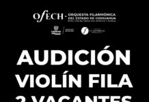 Convoca Secretaría de Cultura a músicos instrumentistas a formar parte de la OFECh
