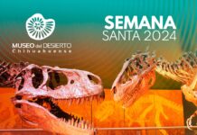 Ofrece Mudech charlas, venta de artesanías y visitas guiadas durante Semana Santa