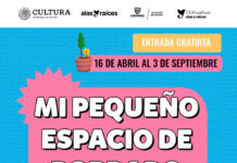 Invitan a niñas y niños a inscribirse en taller de bordado infantil
